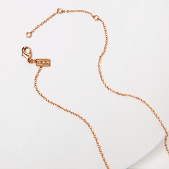 Coach Rose Gold Necklace & Earring Set - Picture 4 of 9